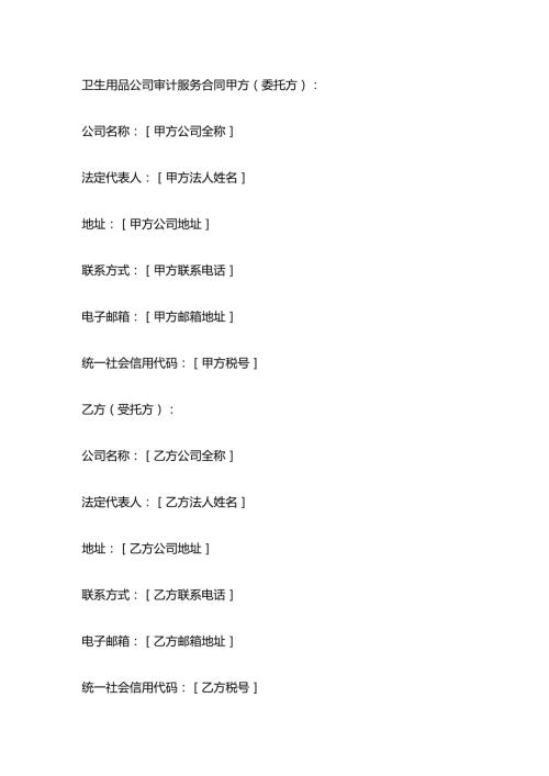 卫生用品公司审计服务合同.docx