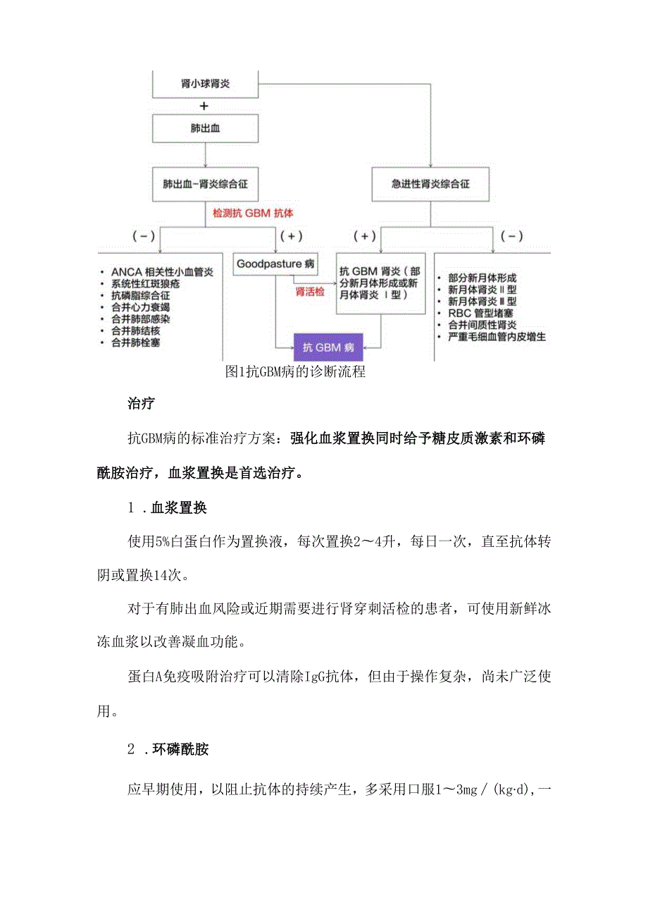 抗肾小球基底膜病的诊断和治疗.docx_第2页