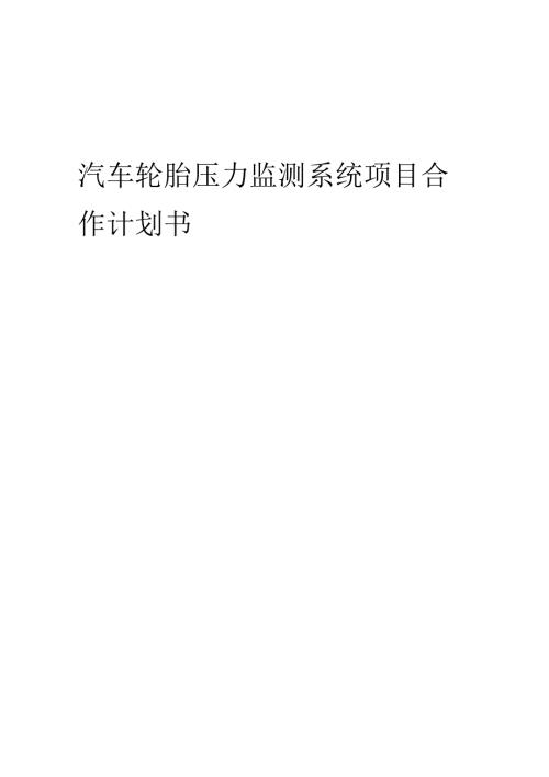 2025年汽车轮胎压力监测系统项目合作计划书.docx