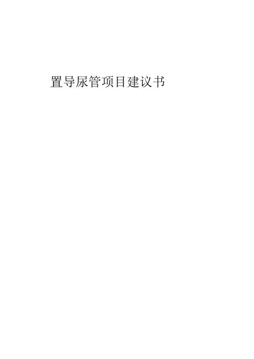 2025年留置导尿管项目建议书.docx