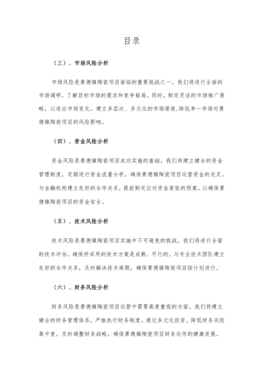 2025年景德镇陶瓷项目发展计划.docx_第2页