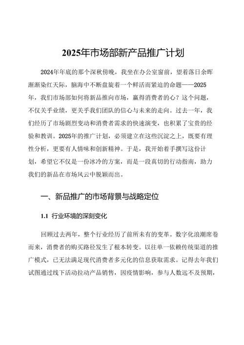2025年市场部新产品推广计划.docx