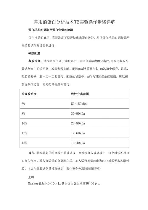 常用的蛋白分析技术-WB实验操作步骤详解.docx