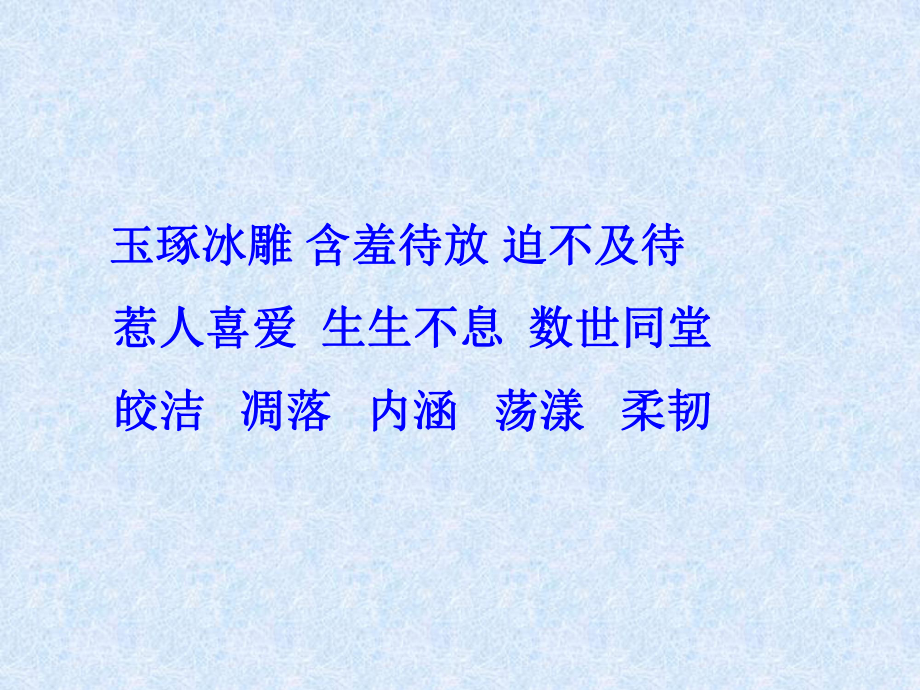 广玉兰第一课时.ppt_第3页